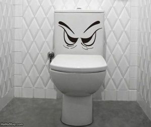 angry-toilet